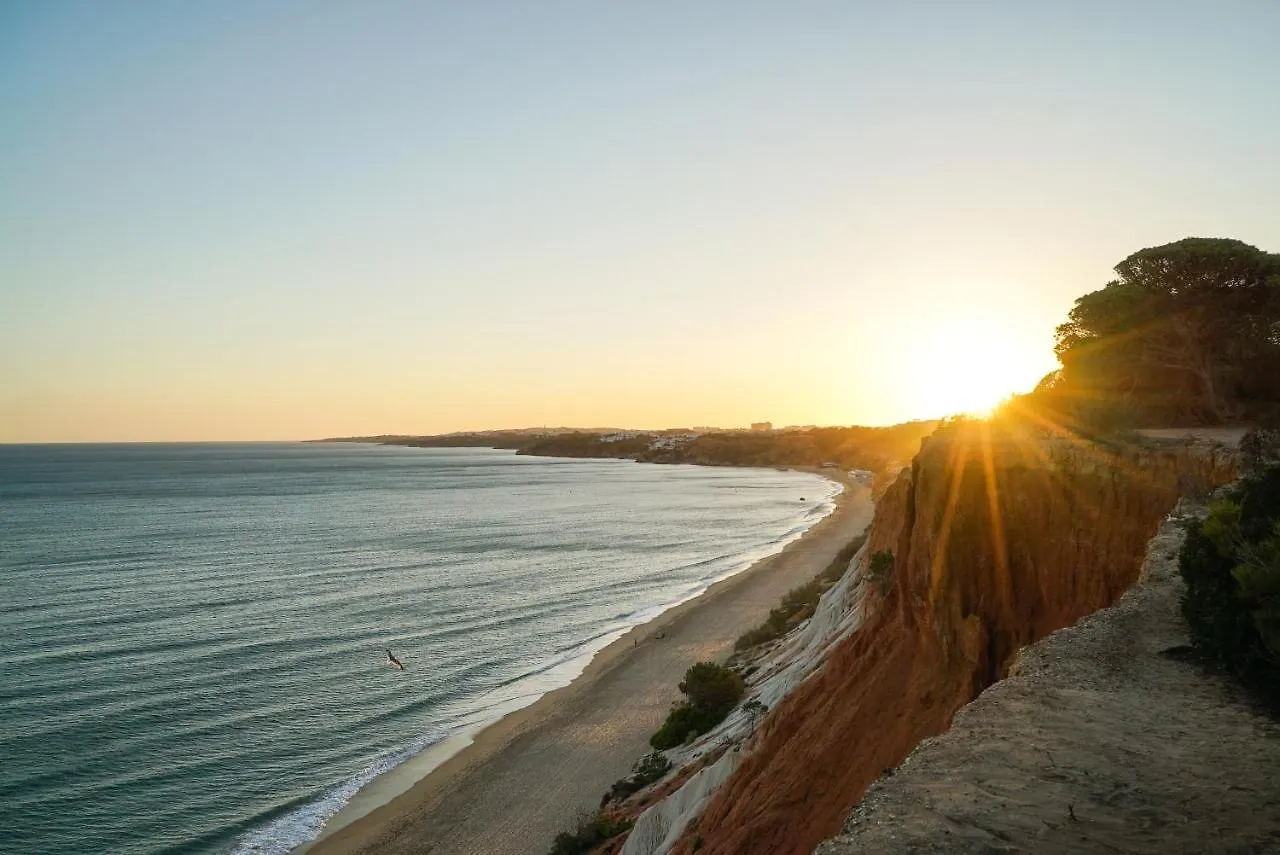 Pine Cliff Apartment By The Portuguese Butler أولوز داغوا